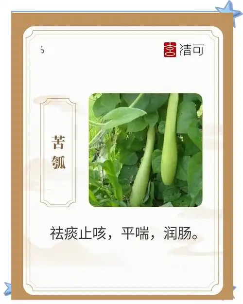 苦瓜有毒？不，是你枪法太“苦”——FPS电竞菜鸟常犯的致命错误